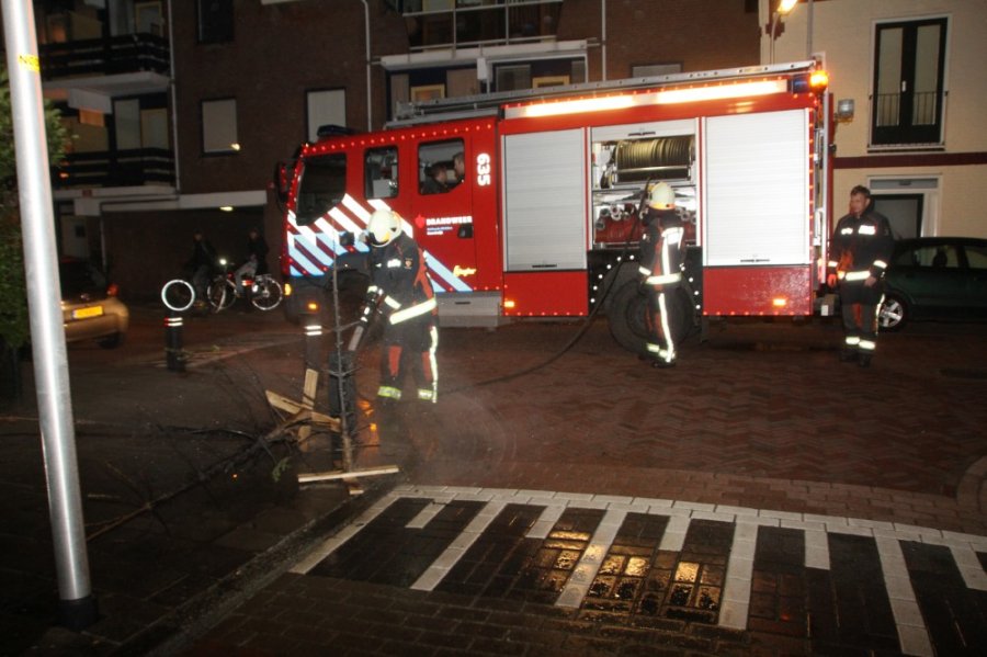 Kerstboombranden Noordwijk